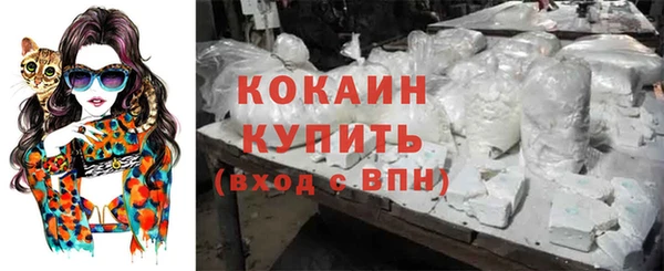 соль ск Михайловск