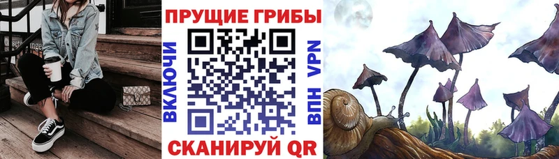 наркошоп  Великий Новгород  Псилоцибиновые грибы мухоморы 