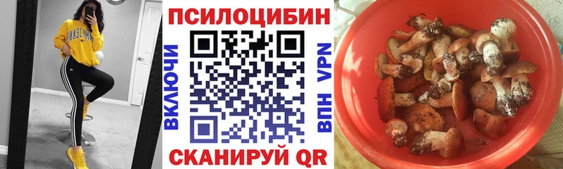Псилоцибиновые грибы прущие грибы Великий Новгород